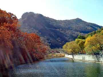 新澳天天开奖资料大全旅游团，生理盐水哪里买